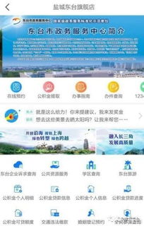 東臺官方旗艦店盛大啟航，鹽城首家創(chuàng)新平臺引領(lǐng)區(qū)域發(fā)展